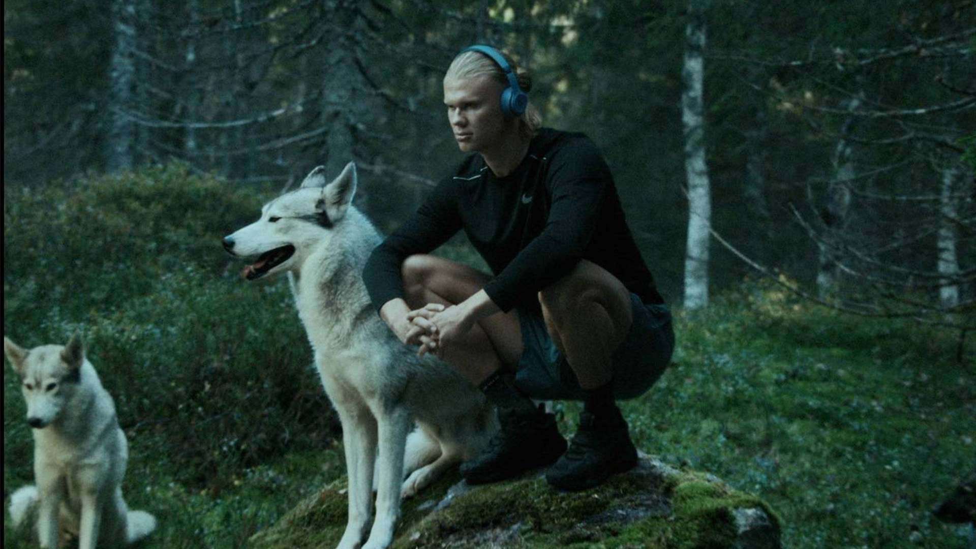 特納斯球隊 特納斯球隊