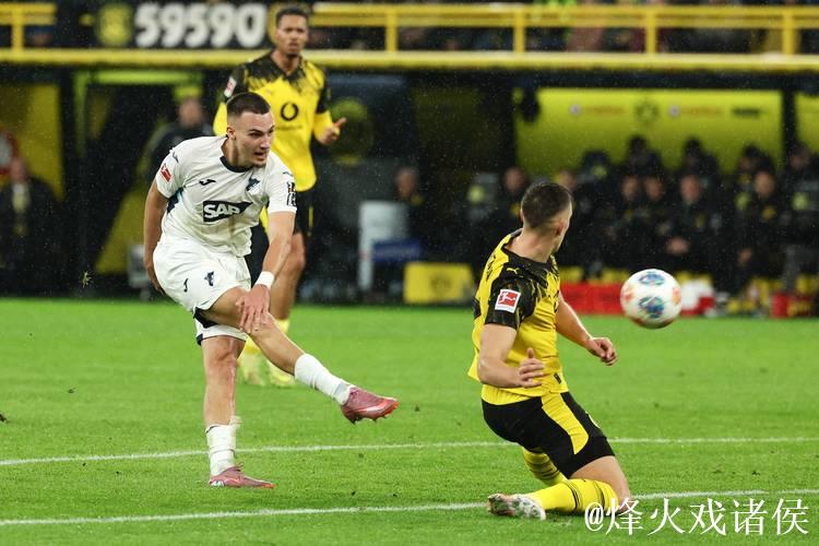 德甲：多特蒙德2比0霍芬海姆
